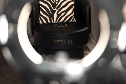 Insculpt Chair